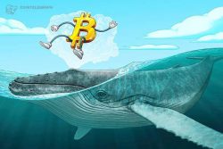 نهنگ مشهور بیت کوین (Bitcoin) معتقد است قیمت بیت کوین (BTC) سقوط خواهد کرد و هالوینگ بر روند قیمت تاثیر گذاشته است