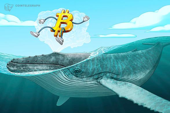 انتقال 1.3 میلیارد دلار بیت کوین (Bitcoin) توسط یک نهنگ ناشناس