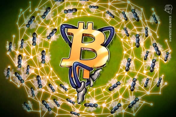 هودلرهای کوچک و متوسط 40 درصد از موجودی بیت کوین (Bitcoin) را در اختیار دارند