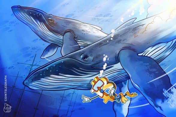 گلسنود: نهنگ ها در ماه فوریه 140.000 بیت کوین (Bitcoin) فروخته اند