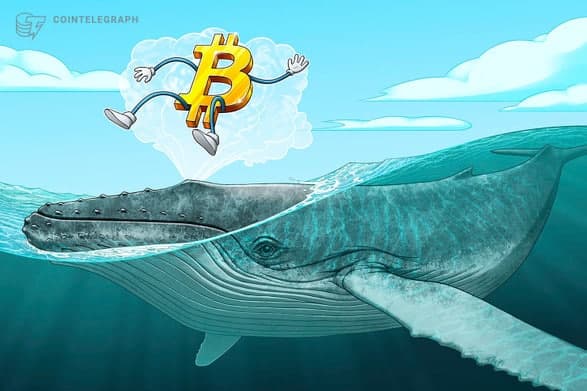 قیمت بیت کوین (Bitcoin) به کمتر از 54.000 دلار رسید؛ هودلرها و نهنگ ها عامل کاهش قیمت