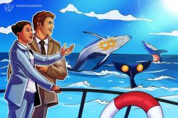 نهنگ ها طی آخرین ریزش بازار 122.500 بیت کوین (Bitcoin) خریداری کردند